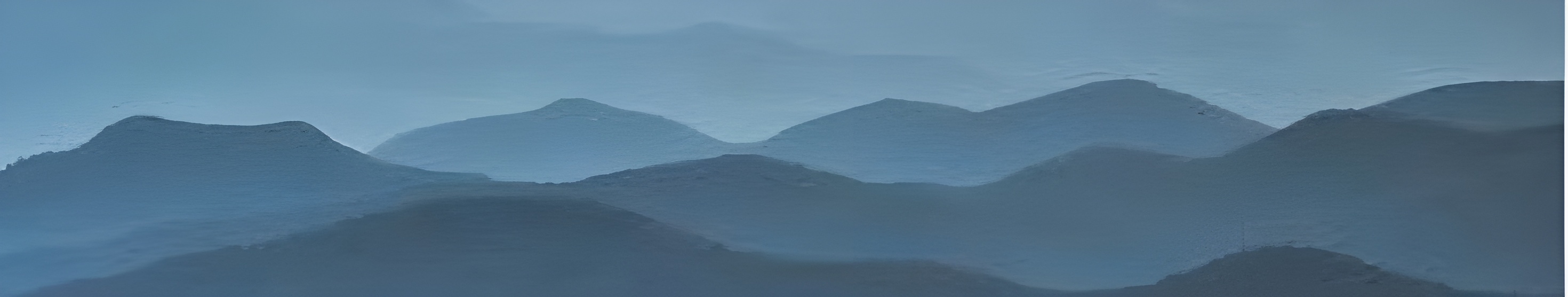 Contact Background